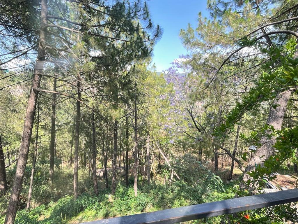 Sunrise Cottage Dagshai Екстериор снимка